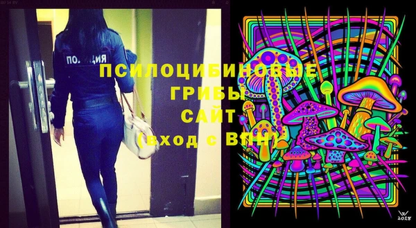 ешки Каменск-Шахтинский