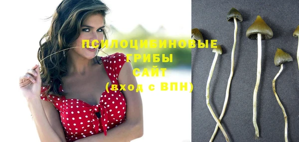 ALPHA-PVP Каменногорск