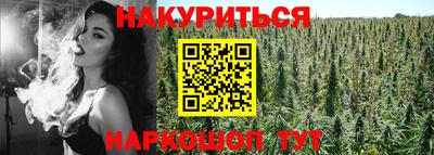 ГАЛЛЮЦИНОГЕННЫЕ ГРИБЫ Камышлов