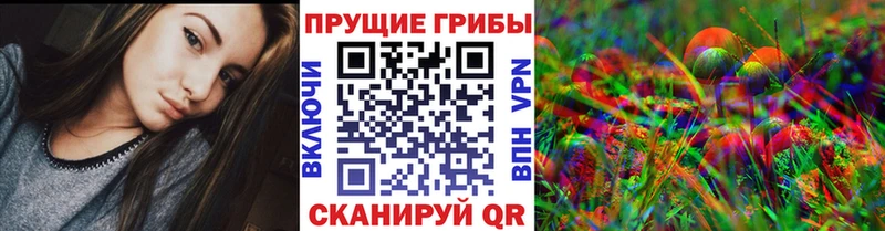 Псилоцибиновые грибы Psilocybine cubensis  закладка  Южно-Сахалинск 