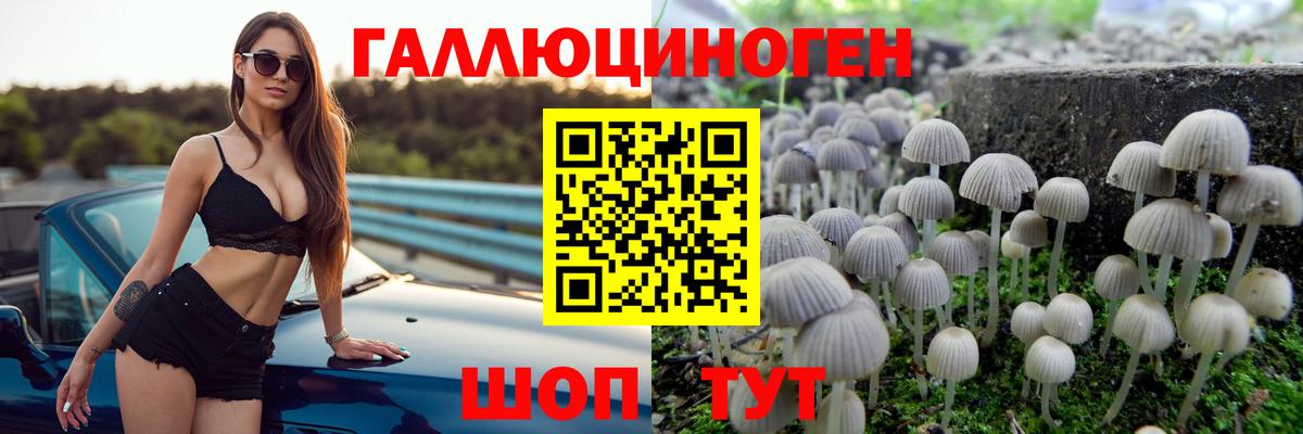 Псилоцибиновые грибы ЛСД  Галлюциногенные грибы MAGIC MUSHROOMS  Вход с VPN  Южно-Сахалинск 